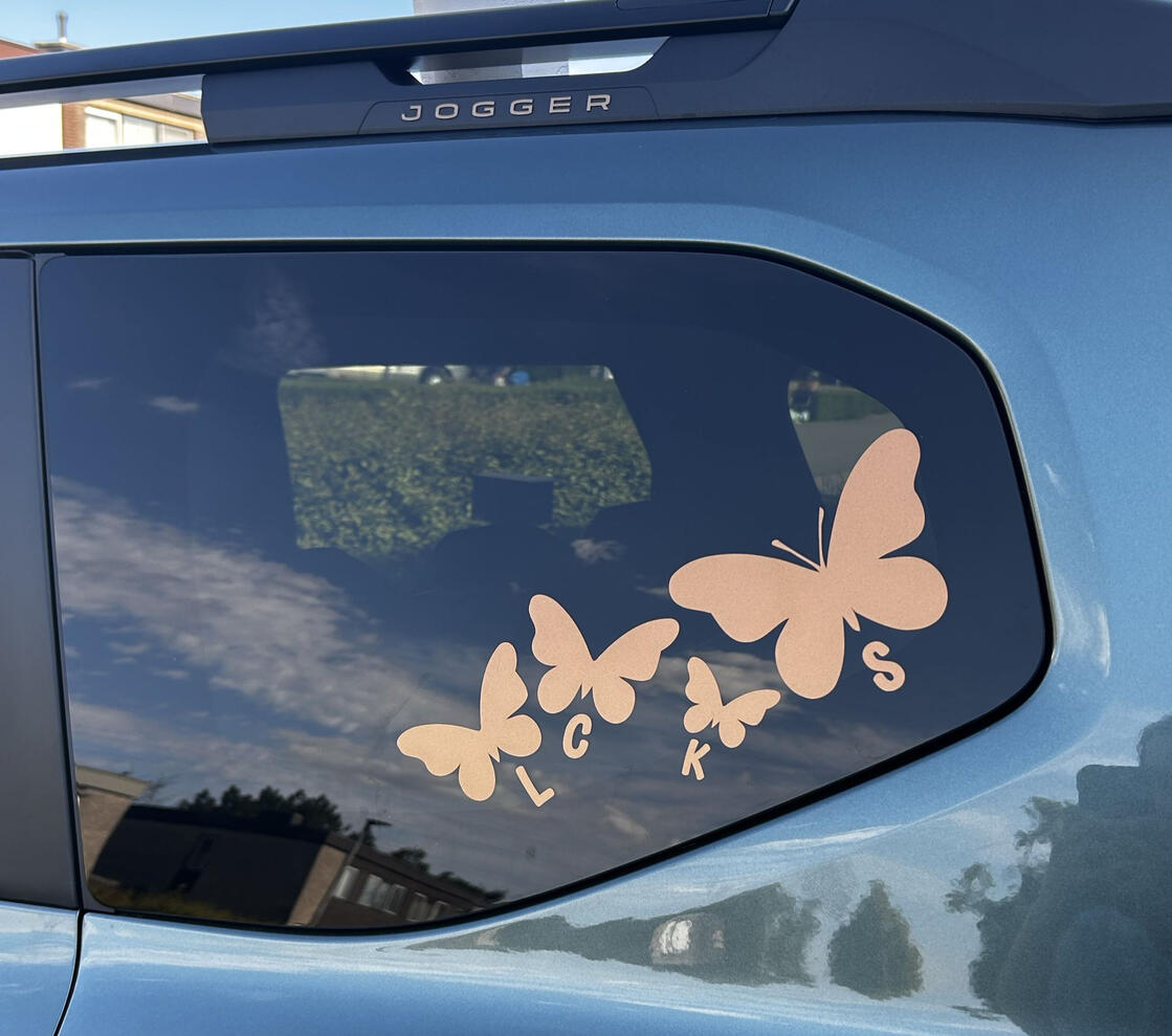 Dacia window Dacia window